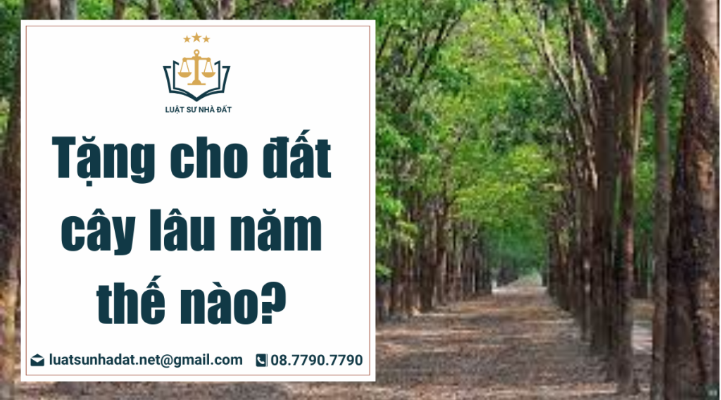 tặng cho đất cây lâu năm