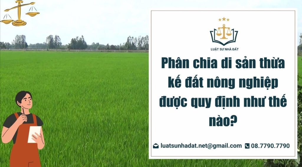 phân chia di sản thừa kế đất nông nghiệp