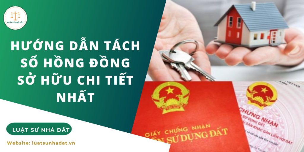 Hướng dẫn tách sổ hồng đồng sở hữu chi tiết nhất