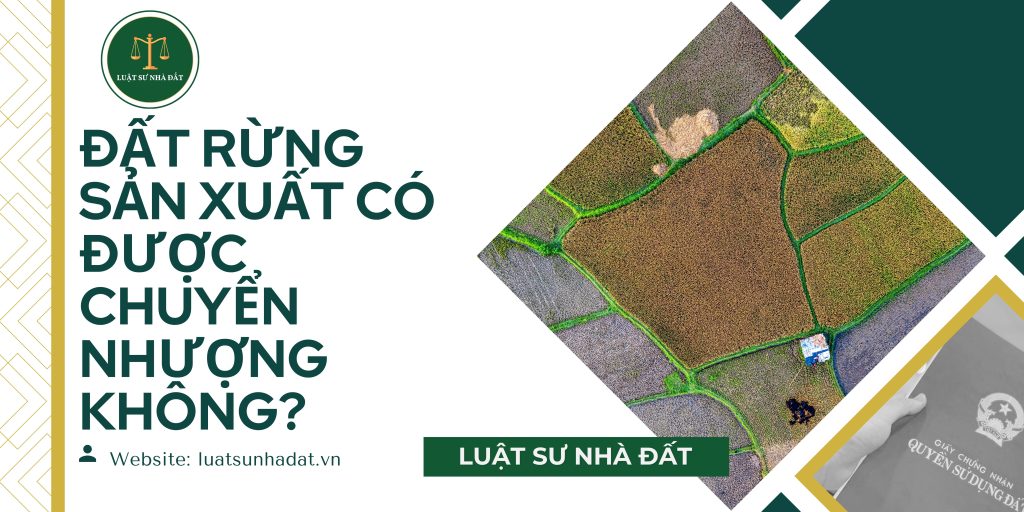 Đất rừng sản xuất có được chuyển nhượng không?