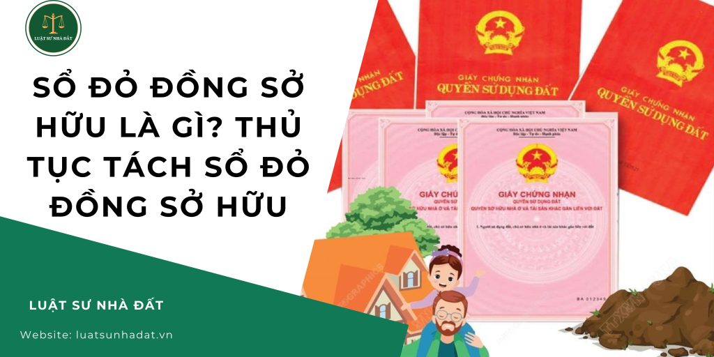 Sổ đỏ đồng sở hữu là gì Thủ tục tách sổ đỏ đồng sở hữu